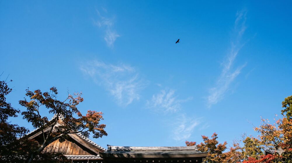 数珠を忘れても故人への純粋な祈りが空へ届く様子